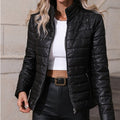 Fashion Glam | Padded jacket - Tailored fit - Stand collar - Zipper - Padded design
