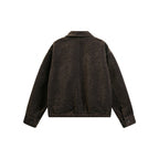 Men's short jacket made of teddy fleece with shirt collar, zipper, and elastic hem Fashion Glam