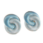Women hair clips in modern shell design Fashion Glam