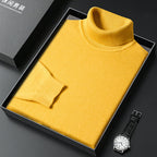 Stylish cashmere turtleneck sweater